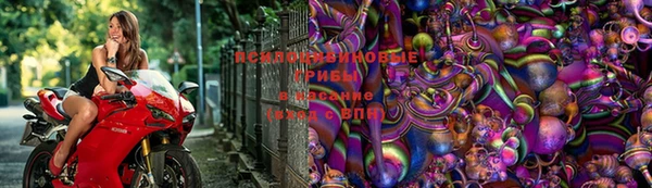 трава Кинешма