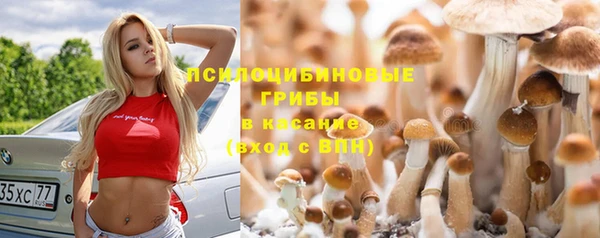 трава Кинешма