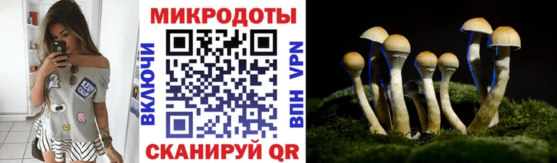 omg зеркало  Зеленоградск  Галлюциногенные грибы Psilocybe 